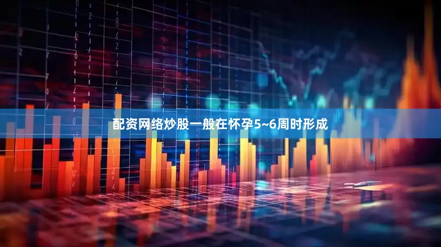 配资网络炒股一般在怀孕5~6周时形成