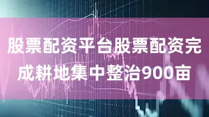 股票配资平台股票配资完成耕地集中整治900亩