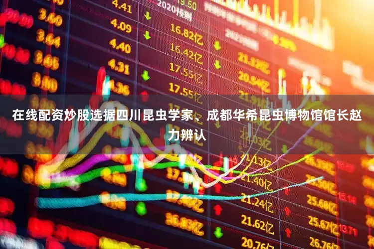 在线配资炒股选据四川昆虫学家、成都华希昆虫博物馆馆长赵力辨认