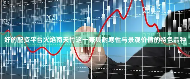 好的配资平台　　火焰南天竹这一兼具耐寒性与景观价值的特色品种