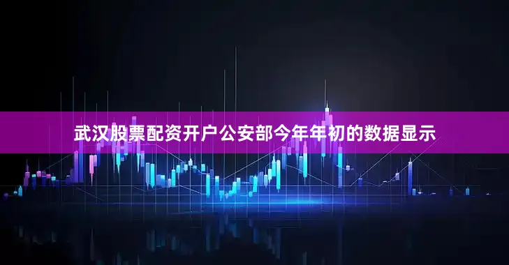 武汉股票配资开户公安部今年年初的数据显示